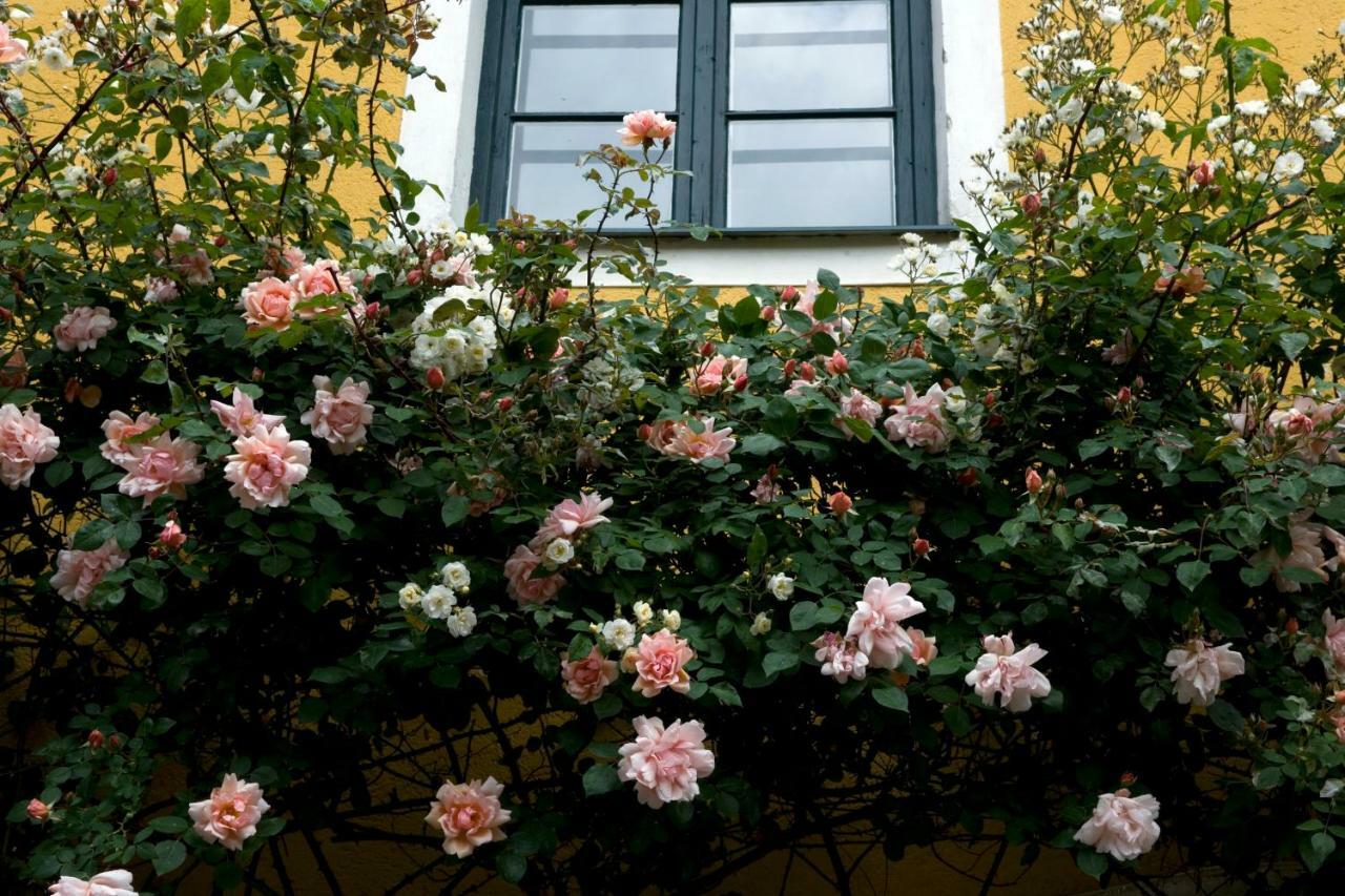 Marienschloessl Bed & Breakfast Wiedendorf Luaran gambar