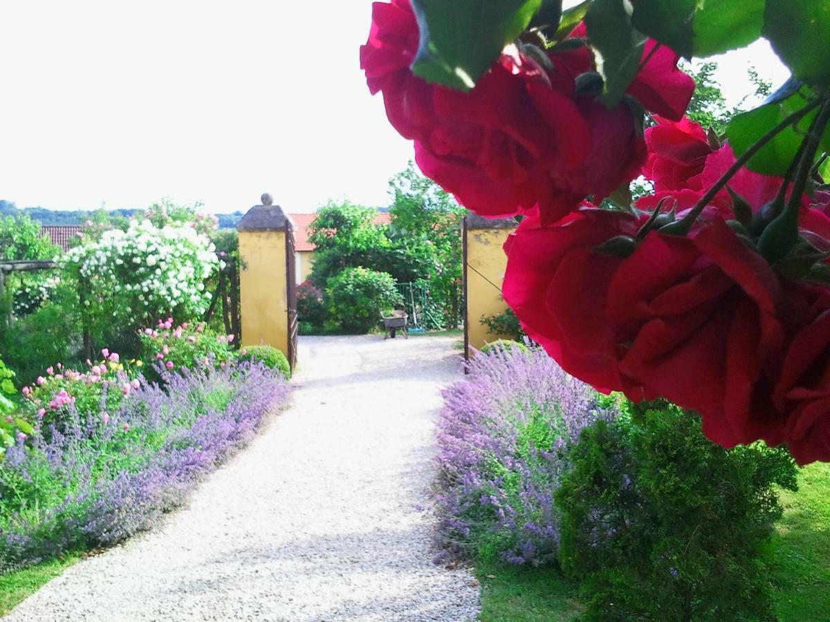 Marienschloessl Bed & Breakfast Wiedendorf Luaran gambar